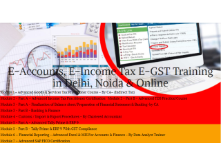 The Evolving Role of Accountants: Why Learning Accounting in 2025 Matters, 100% Job, Accounting Course in Delhi,