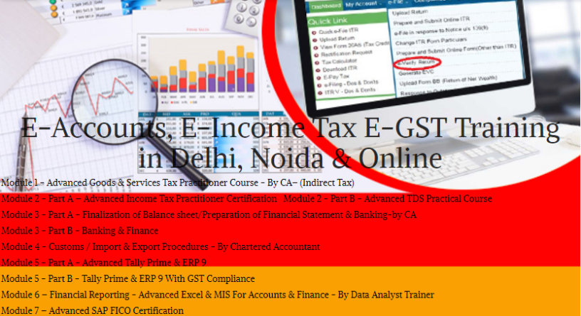 the-evolving-role-of-accountants-why-learning-accounting-in-2025-matters-100-job-accounting-course-in-delhi-big-0